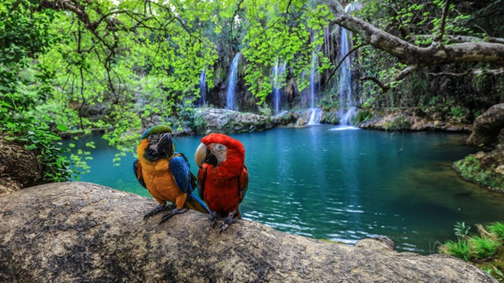 crowded-house-tours-399-perge-side-aspendos-kursunlu-2