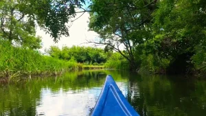 crowded-house-tours-blog-915-longoz-day-tour-from-istanbul-2